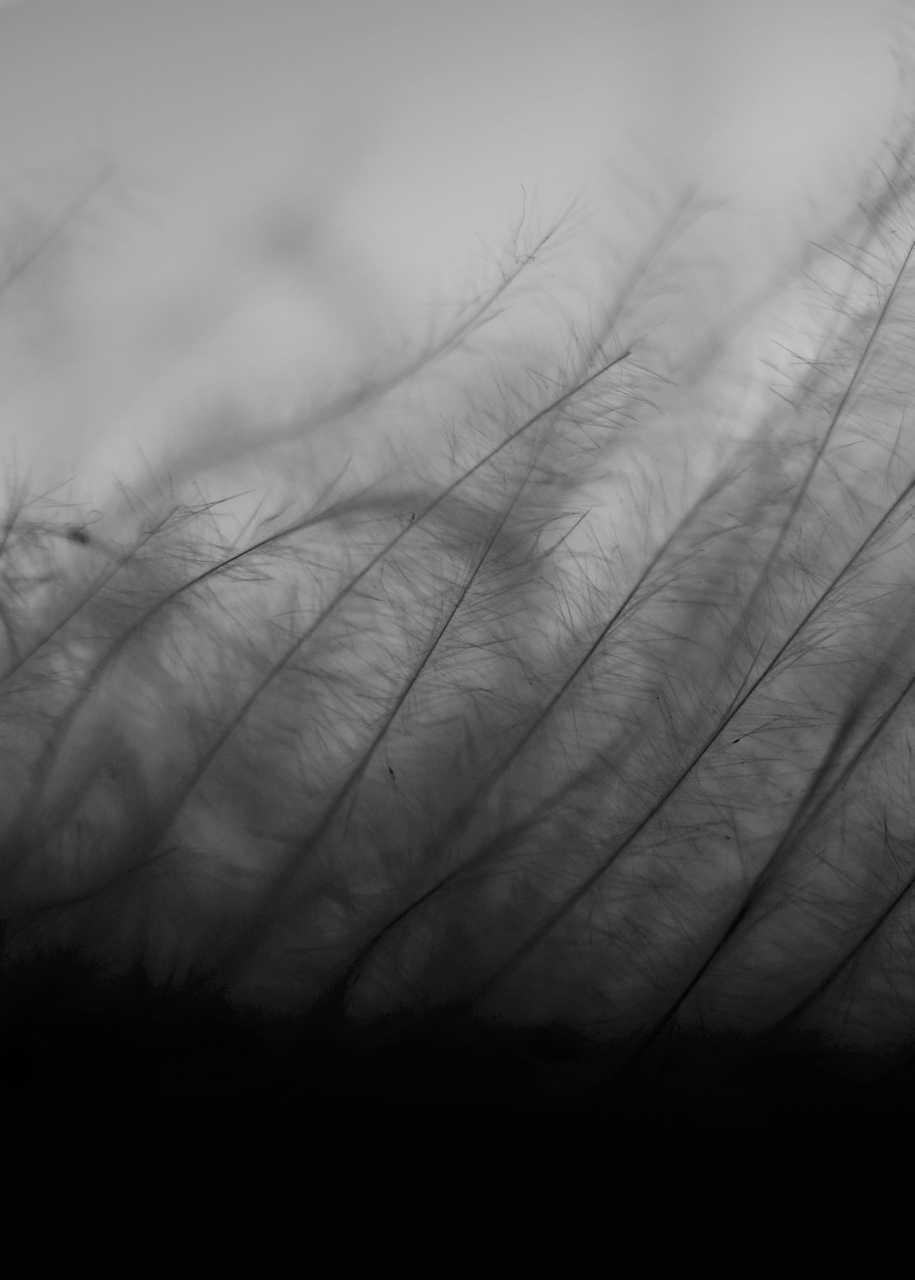 amoled-wallpapers-7 amoled-wallpapers-7
