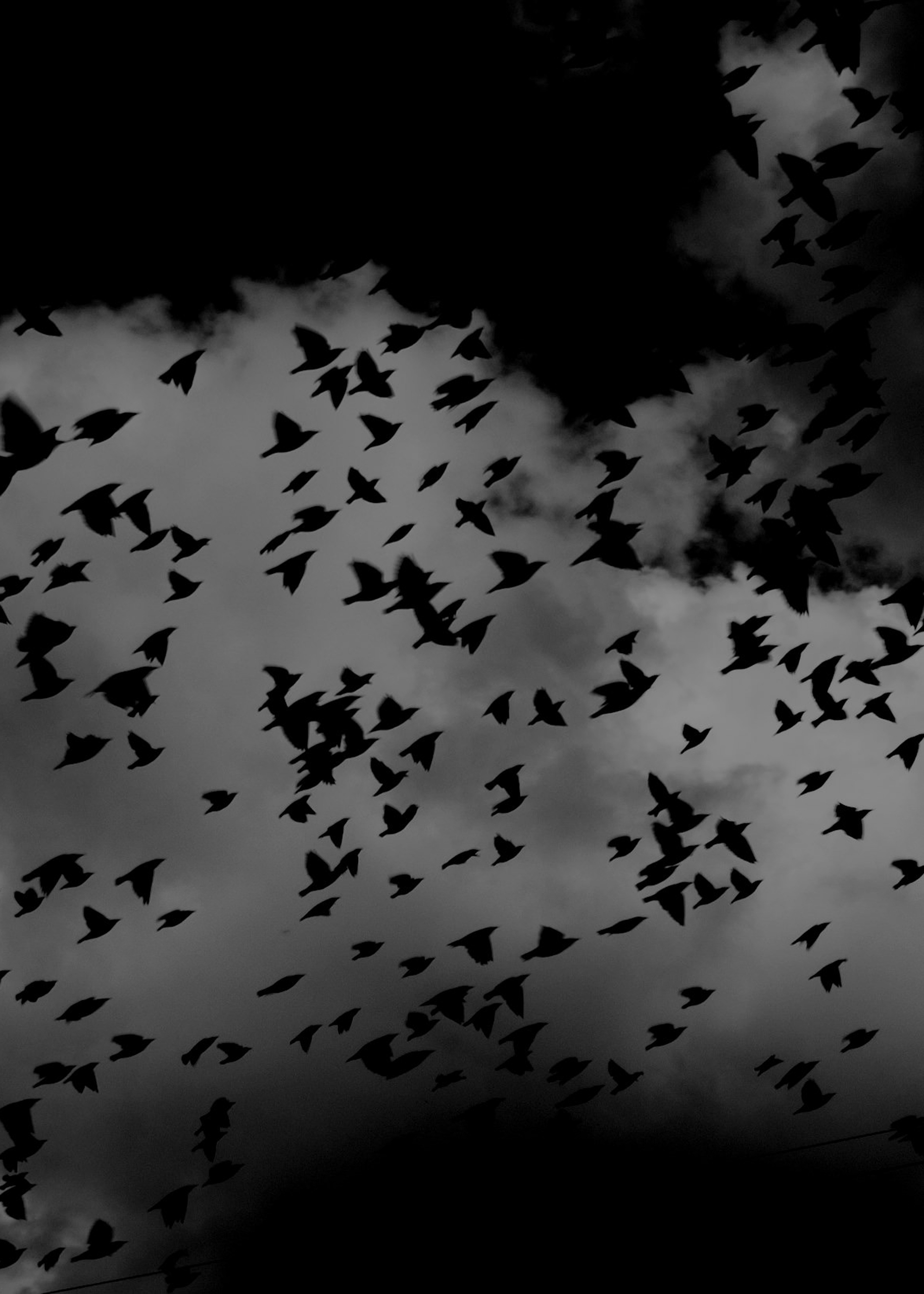 amoled-wallpapers-9 amoled-wallpapers-9