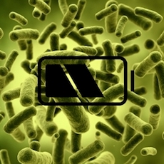 bacteria-battery-icon