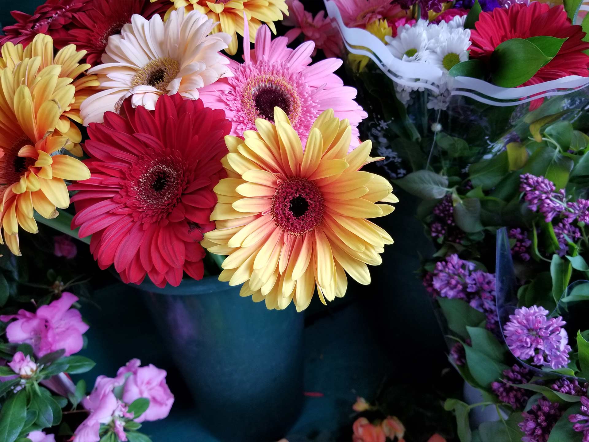 S8_flower S8_flower