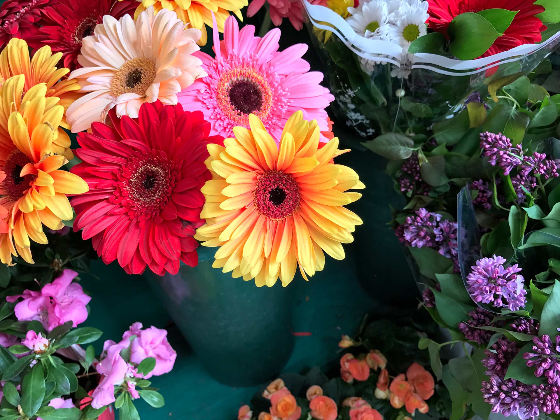 iPhone7_flower iPhone7_flower