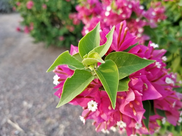 OnePlus 5 fototest 6 OnePlus 5 fototest 6