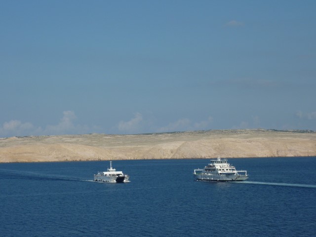 ds_photo (6)