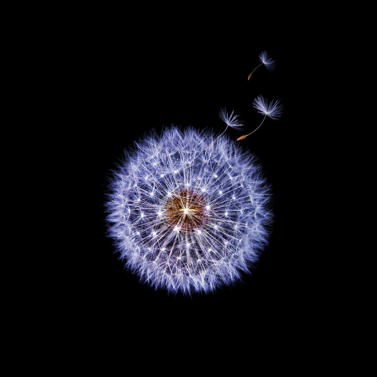 Galaxy-s9-wallpaper-13