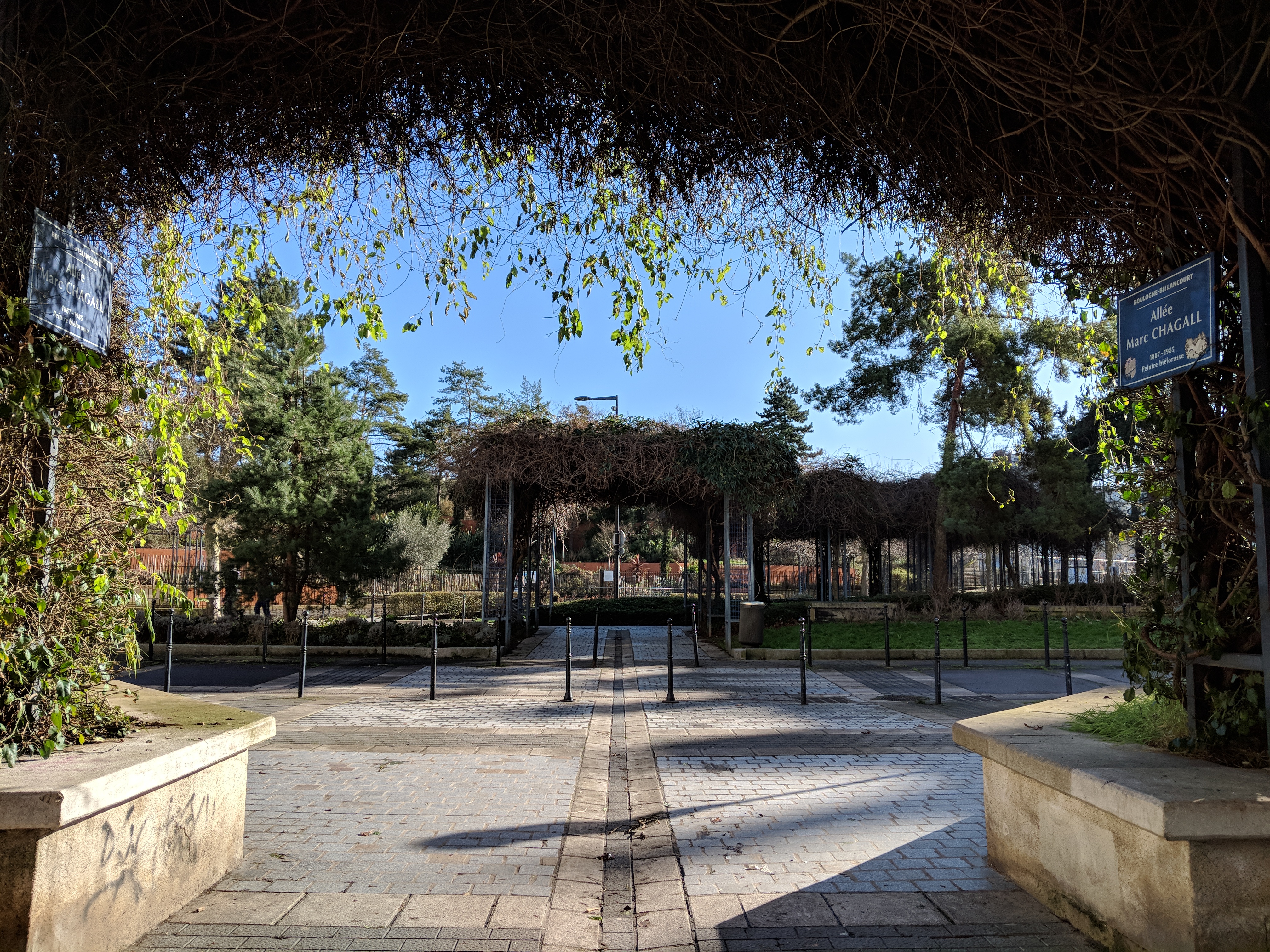 Vegetation_GooglePixel2_DxOMark_05-00