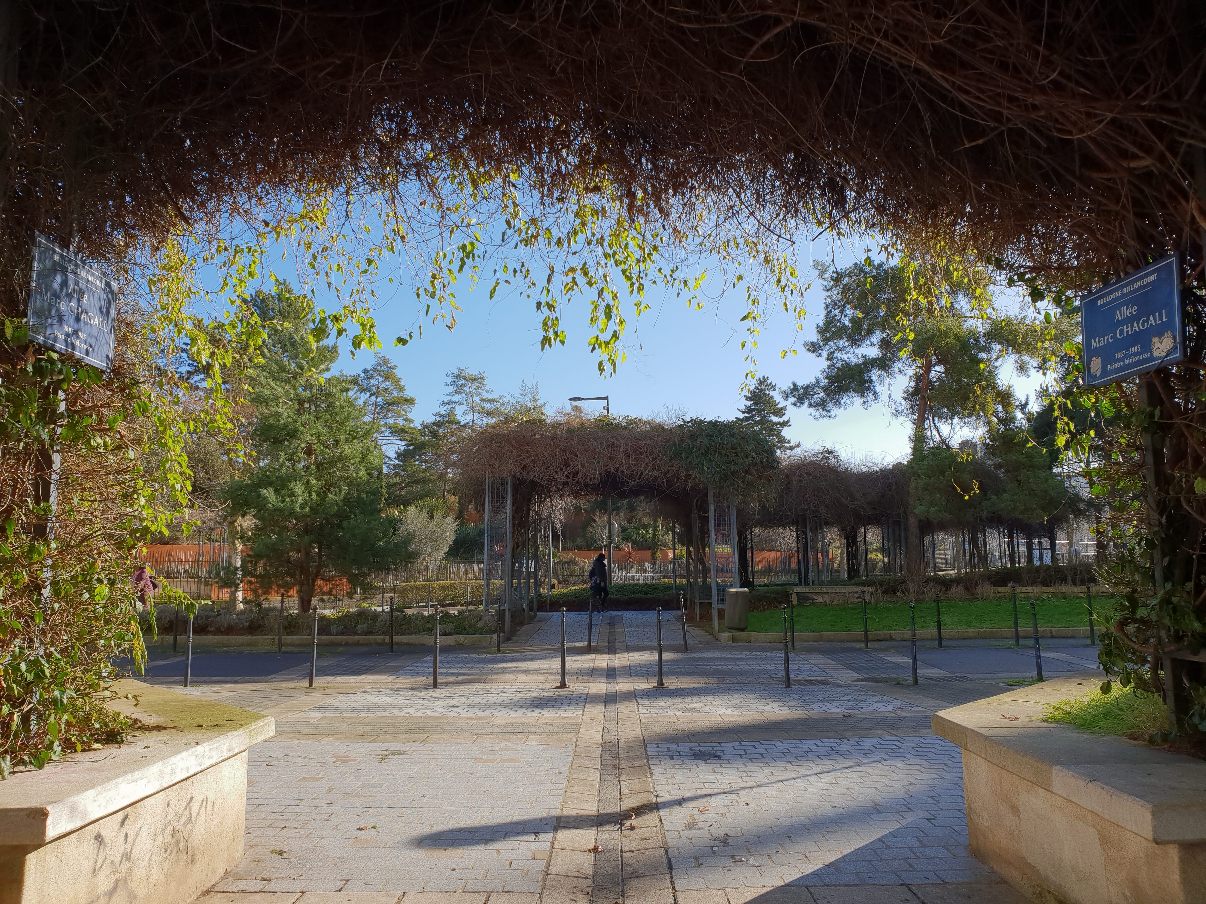 Vegetation_SamsungGalaxyS9Plus_DxOMark_05-00-e1519121273771