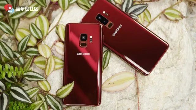 Galaxy S9 Burgundy Red 3