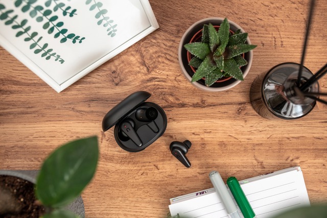 Niceboy HIVE Pins 2 ANC 4