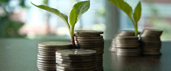 getty-images-939699006-green-money-cropped-600x250 getty-images-939699006-green-money-cropped-600x250