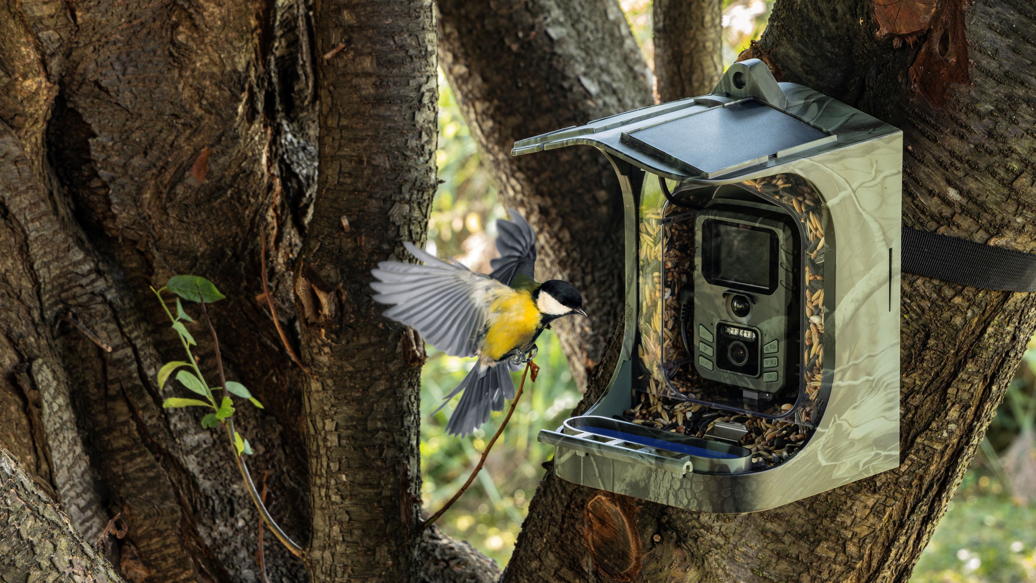 EVOLVEO BirdFeeder image view