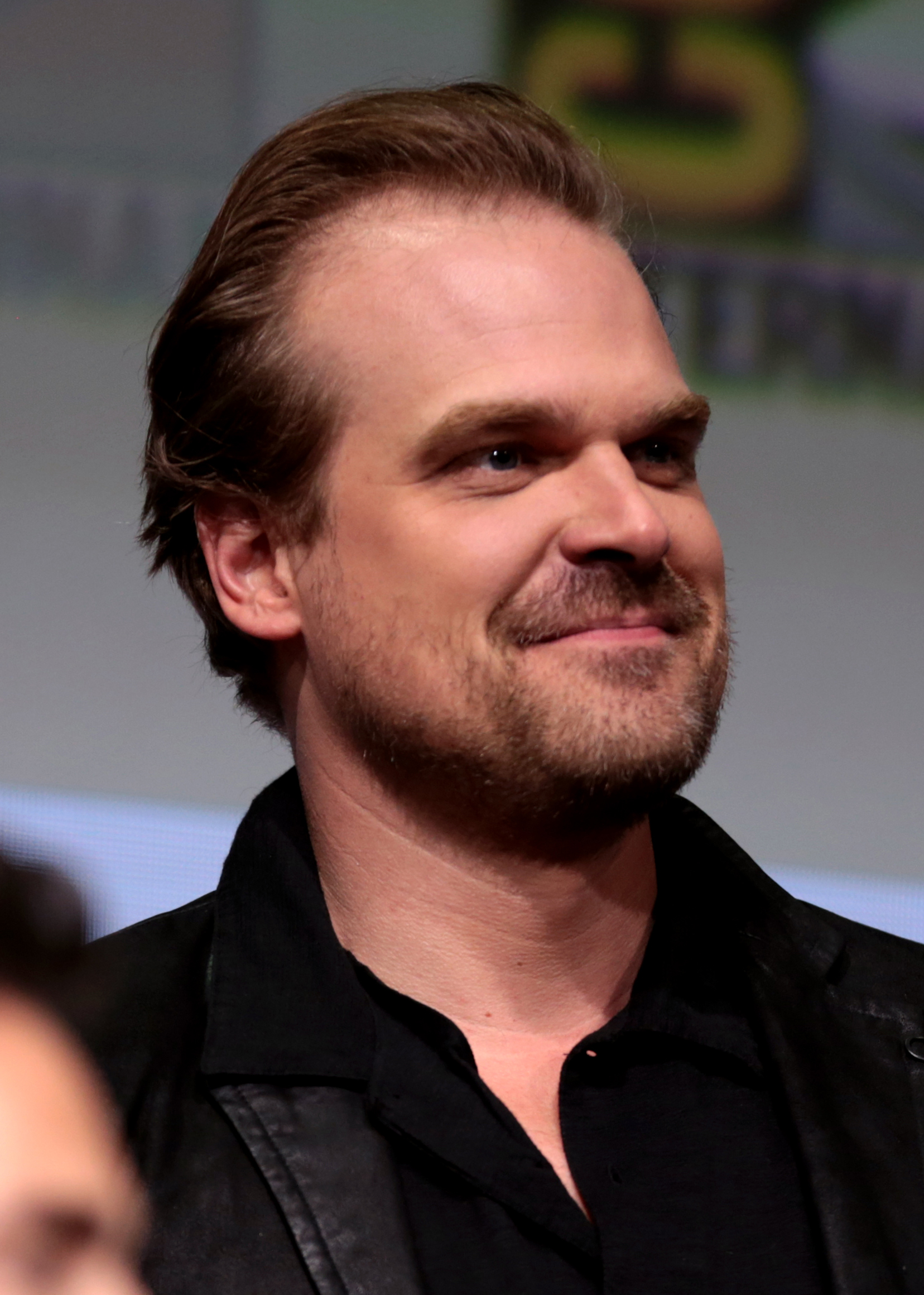 David_Harbour David Harbour