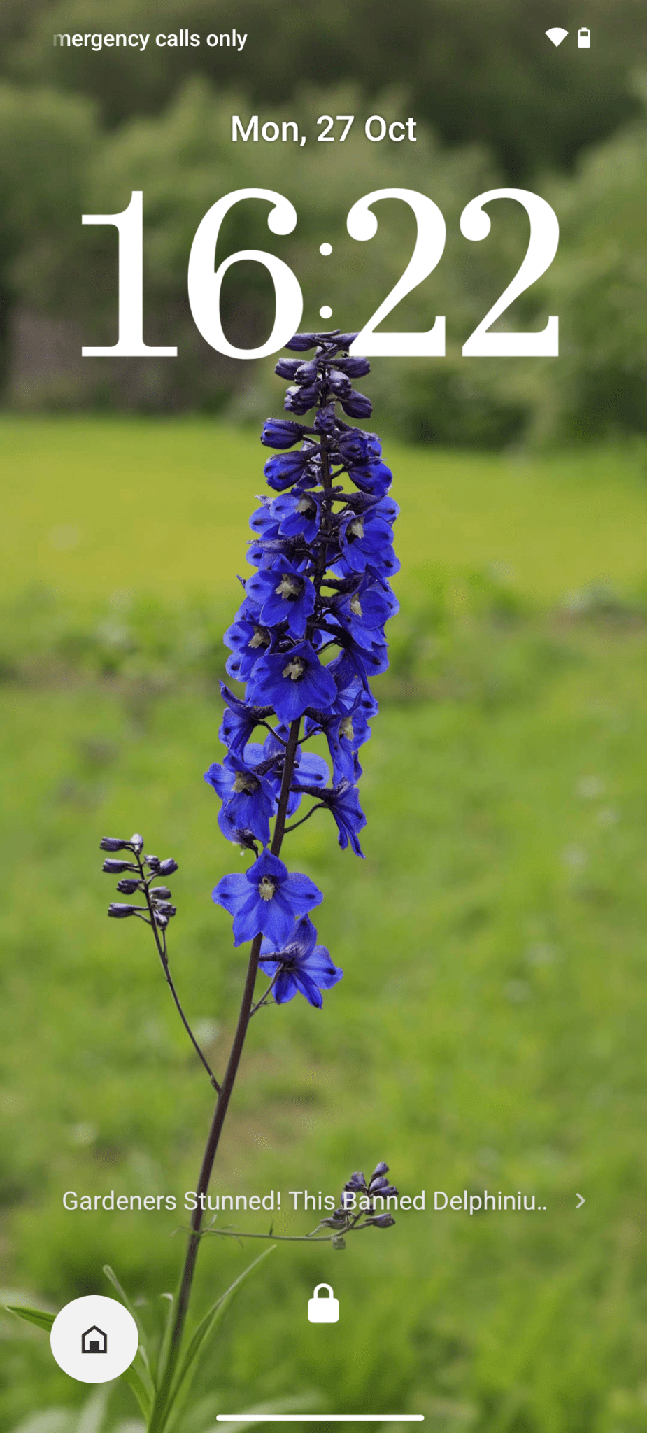 Screenshot_20251027-162228