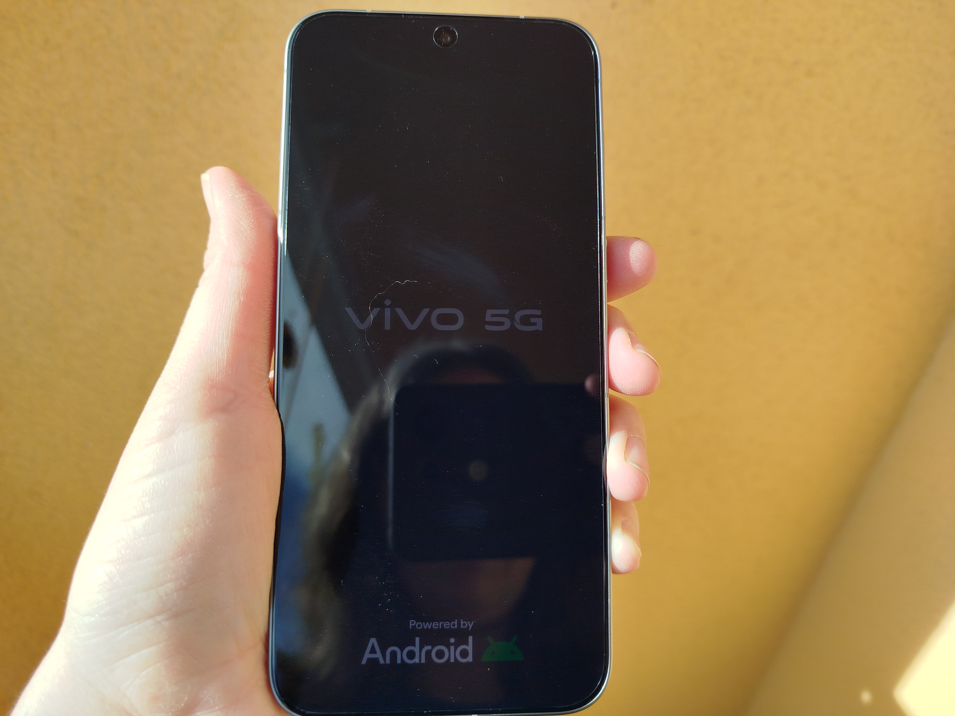 Vivo X300 Pro 13 Vivo X300 Pro 13