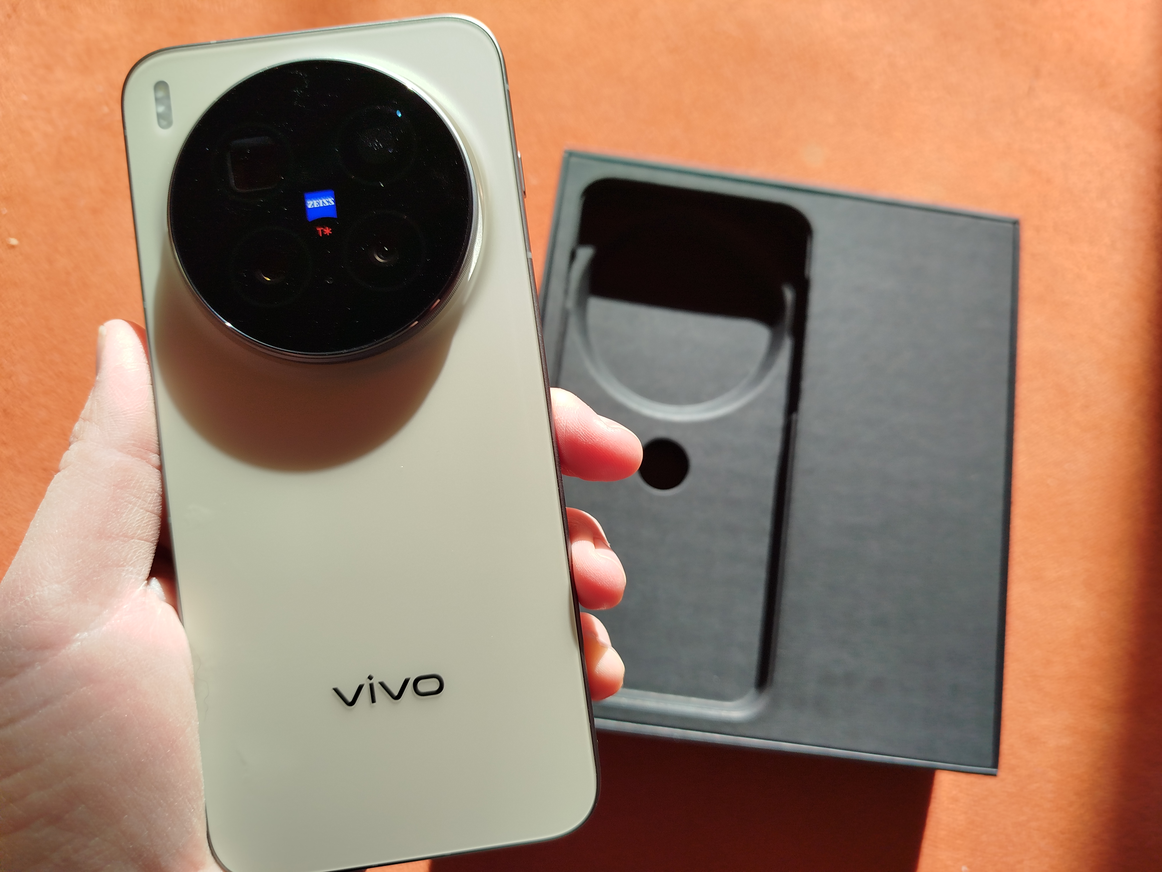 Vivo X300 Pro 6 Vivo X300 Pro 6