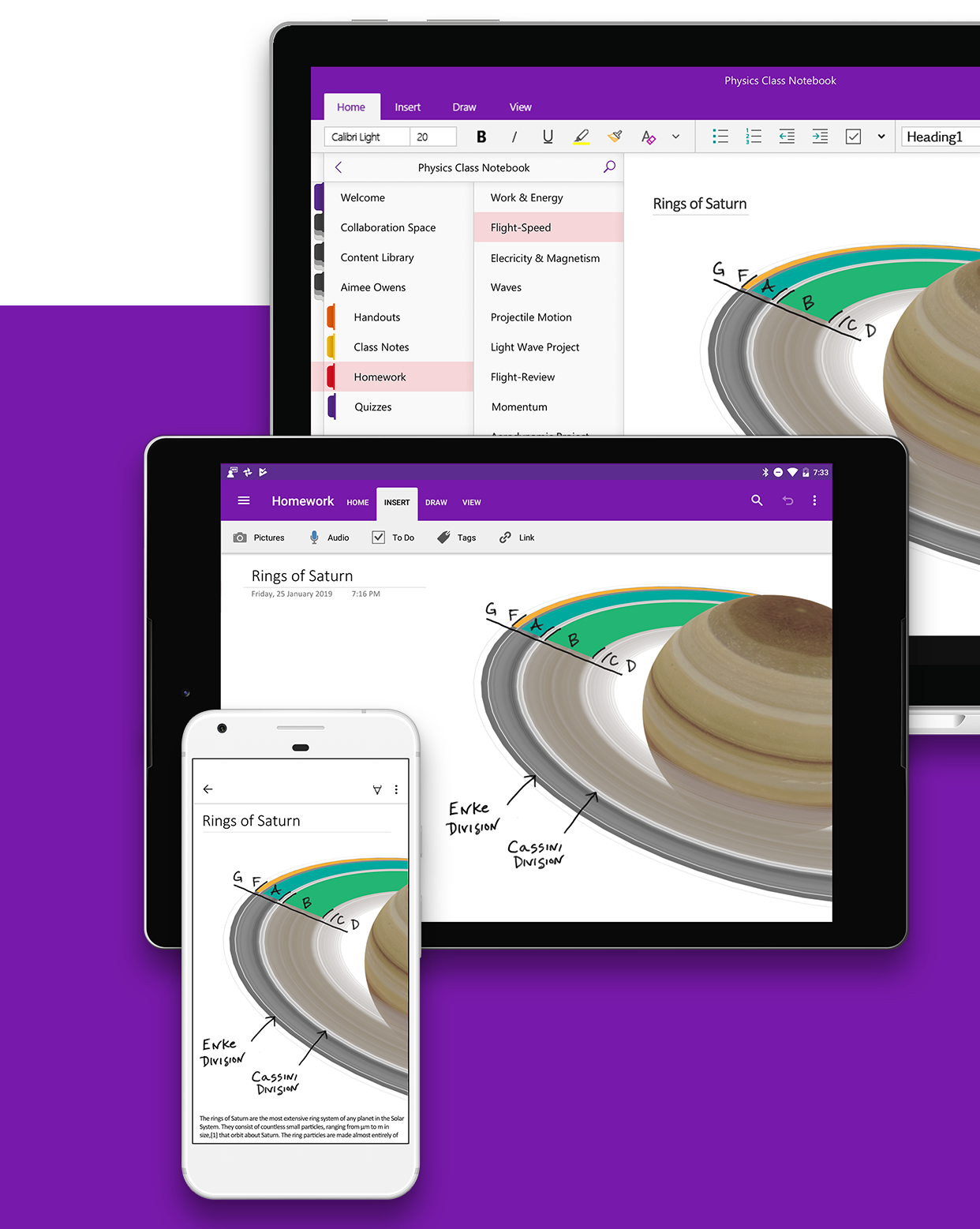 Microsoft OneNote 5